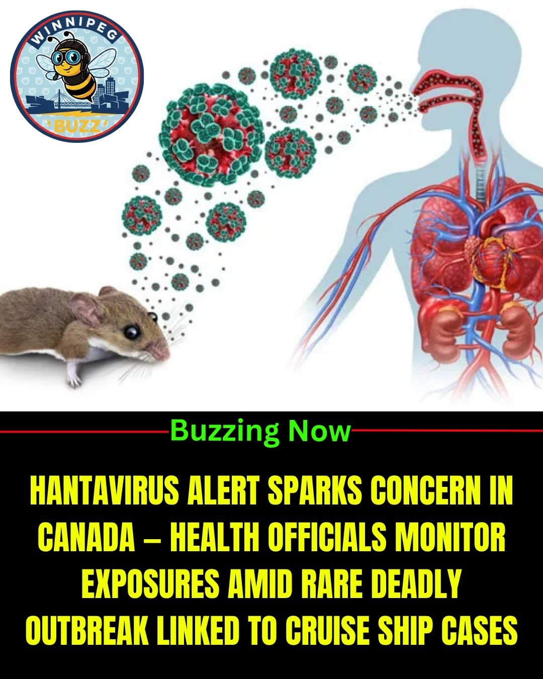 Hantavirus Concerns in Canada: Health Officials Monitor Rare Exposure Linked to International Travel Cases