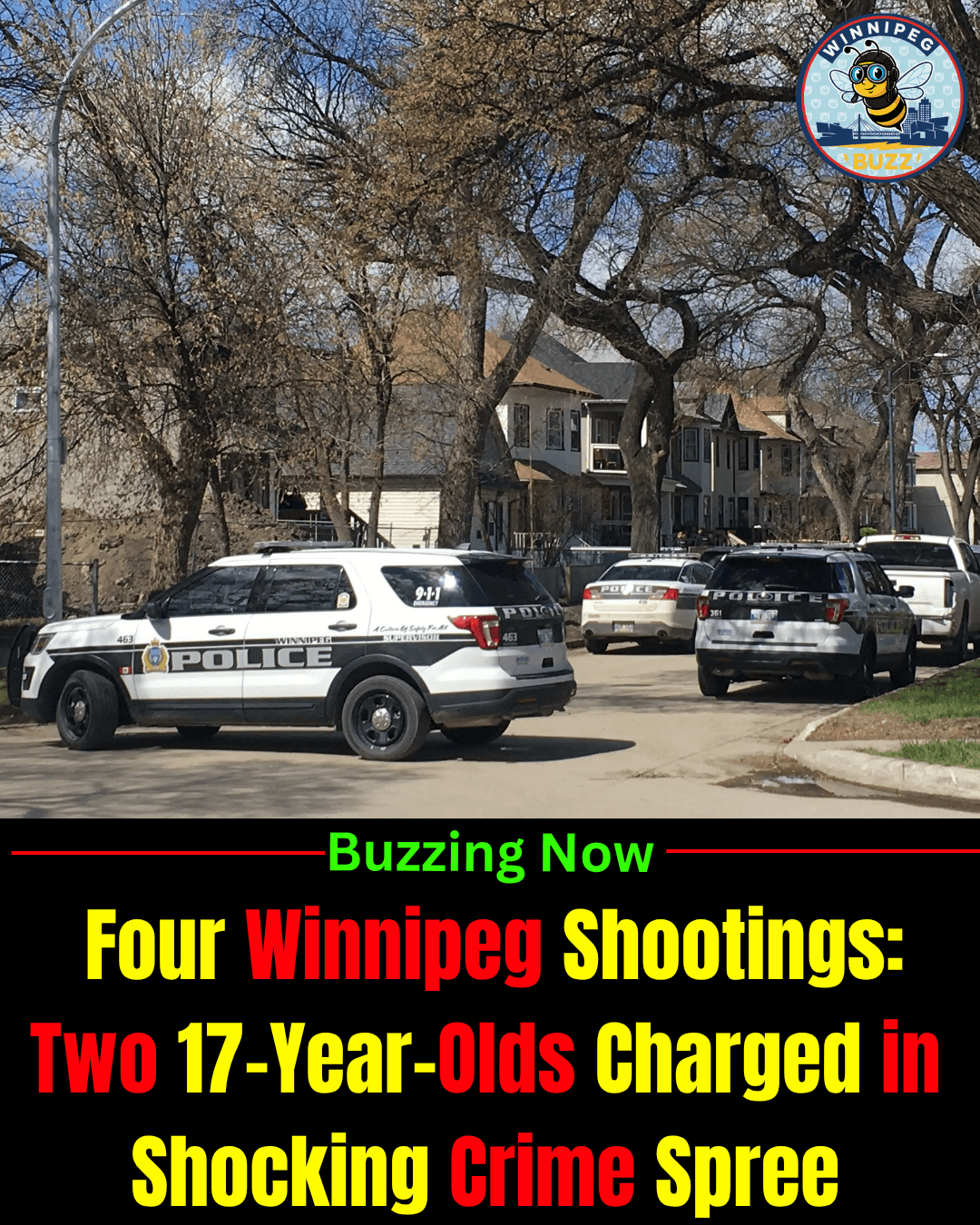 Two 17-Year-Olds Charged in Connection With Four Separate Winnipeg Shootings in Downtown Area