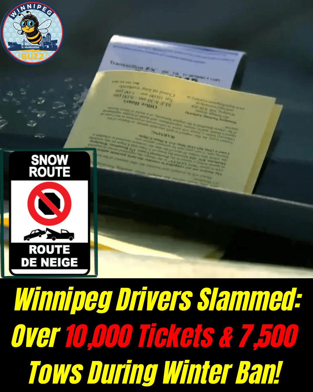 Winnipeg Winter Parking Ban Sees Surge in Tickets and Tows, City Reports