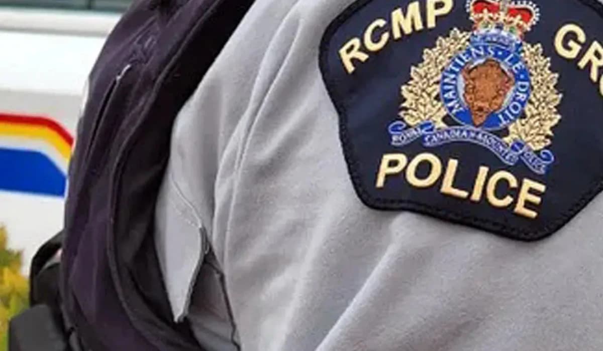 Police investigate after Dauphin woman charged in shocking pedestrian attack where victim was hit multiple times