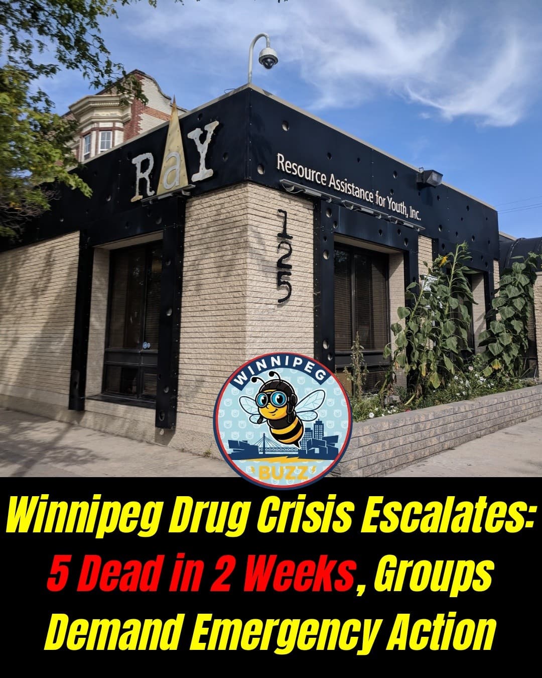 Winnipeg Faces Urgent Drug Crisis as Multiple Deaths Linked to Toxic Supply